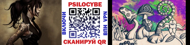 blacksprut маркетплейс Чита Псилоцибиновые грибы мухоморы