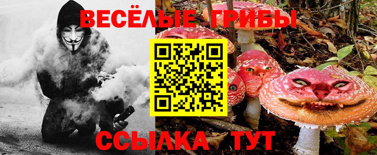 Псилоцибиновые грибы Psilocybine cubensis Чита