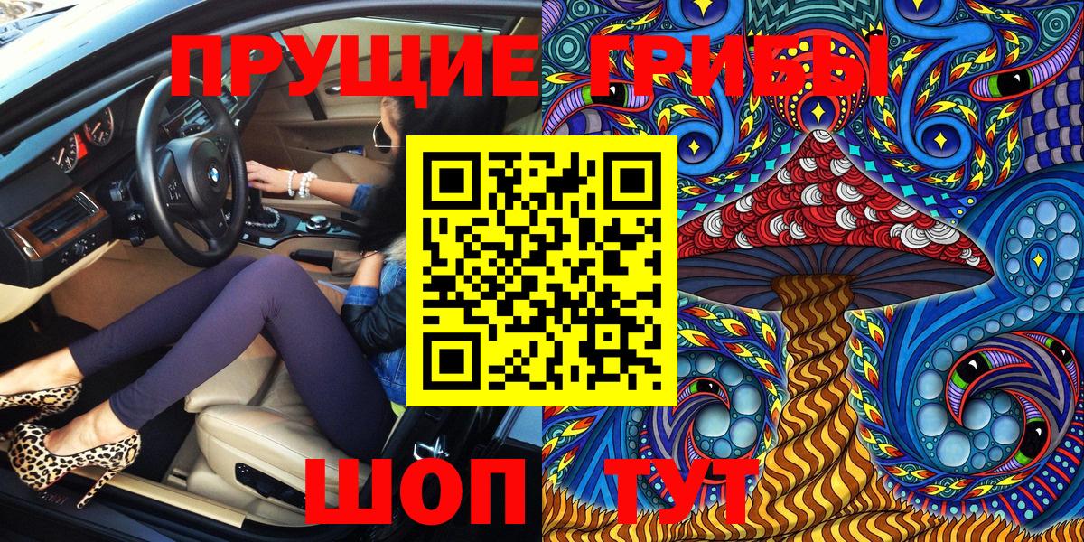 Галлюциногенные грибы Psilocybine cubensis  Вход с VPN  Чита 